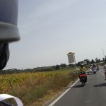 IMGP4595
