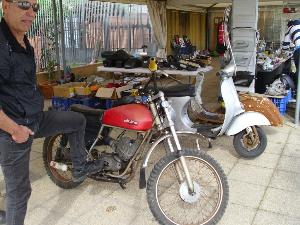 DSCI9817